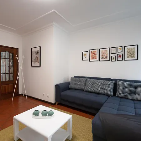 Lovely House, Paredes Apartment